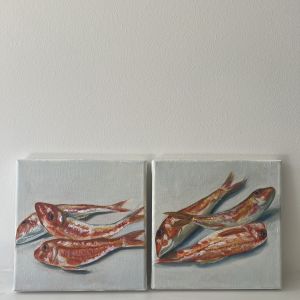 Red Mullets