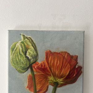 Poppys, oil on linen 0.20 x 0.20 cm E225